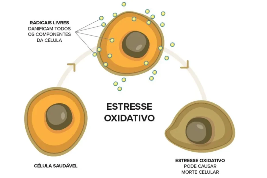 Estresse Oxidativo